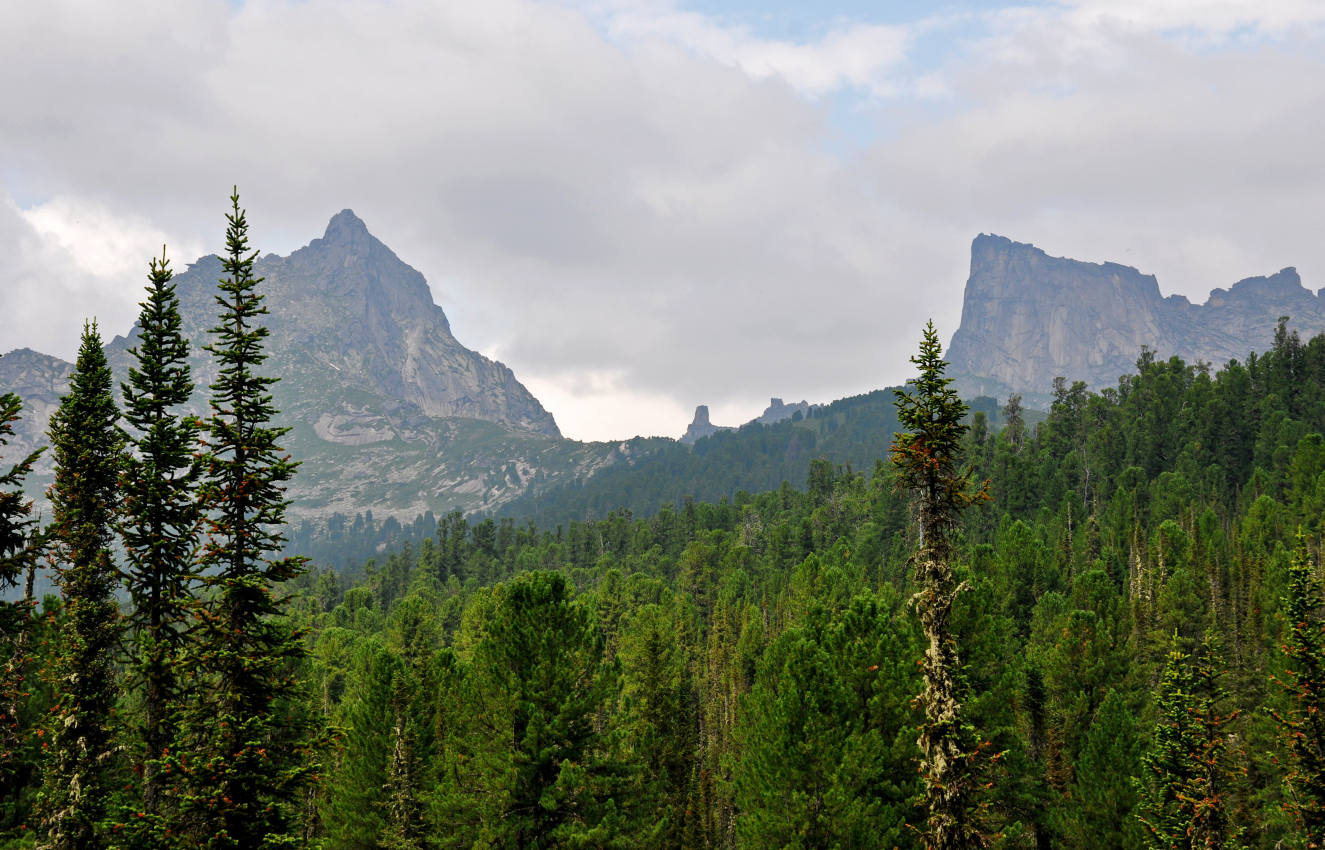 Гора Птица, image of landscape/habitat.