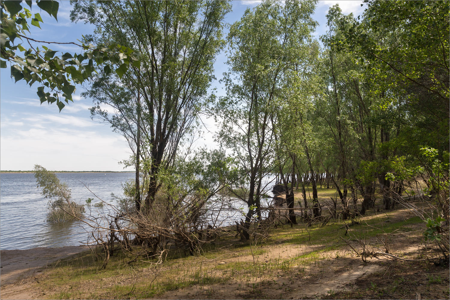 Солёное Займище, image of landscape/habitat.