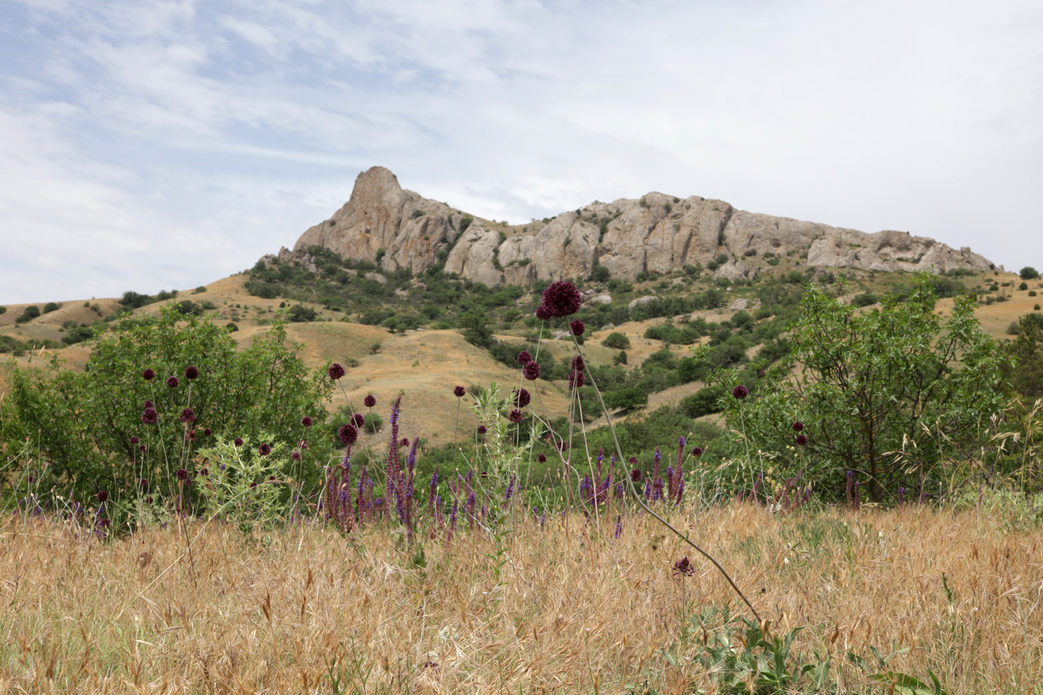 Карадаг, image of landscape/habitat.