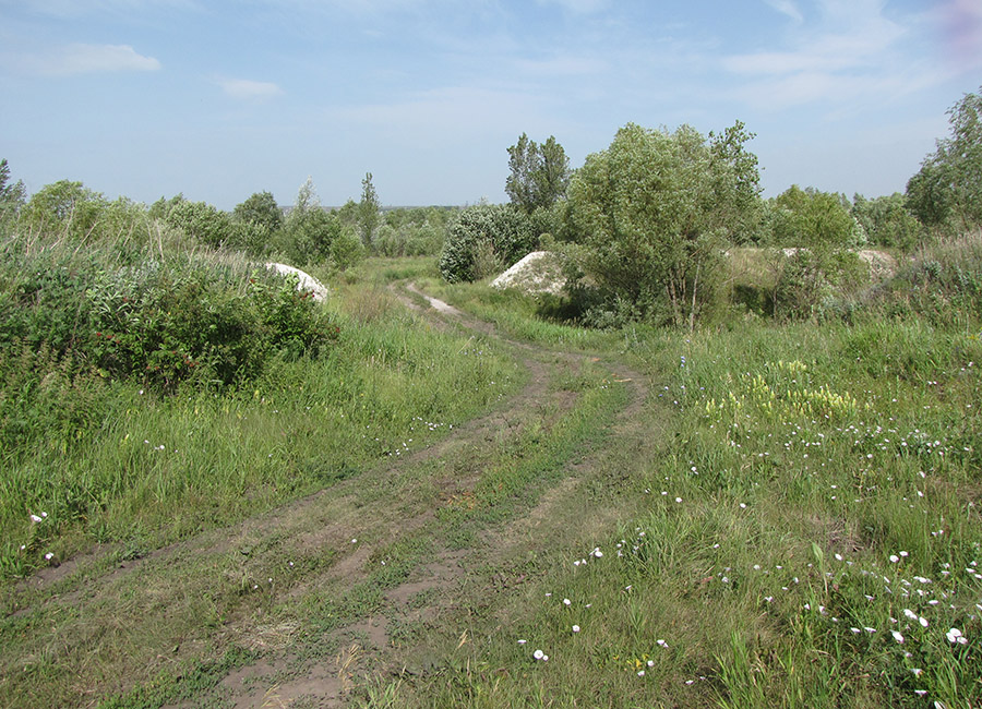 Пульпохранилище ЛГОКа, изображение ландшафта.