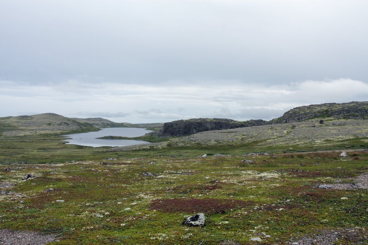 Дальние Зеленцы, image of landscape/habitat.