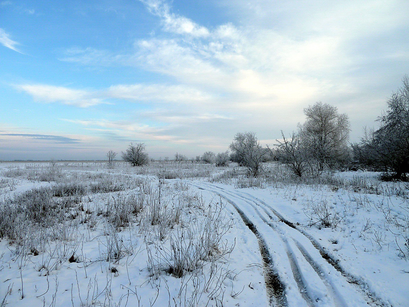 Дельта Дона, image of landscape/habitat.