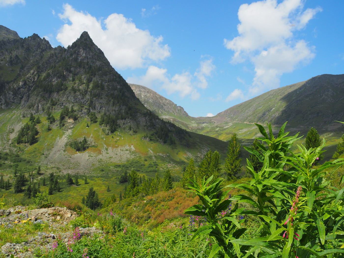 Узун Арга, image of landscape/habitat.