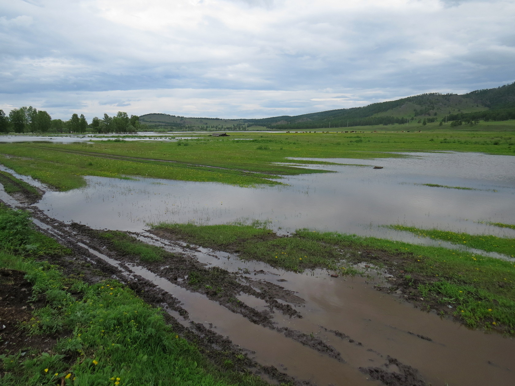 Окрестности Ефремкино, image of landscape/habitat.