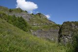 Выше водопада Цеси, image of landscape/habitat.