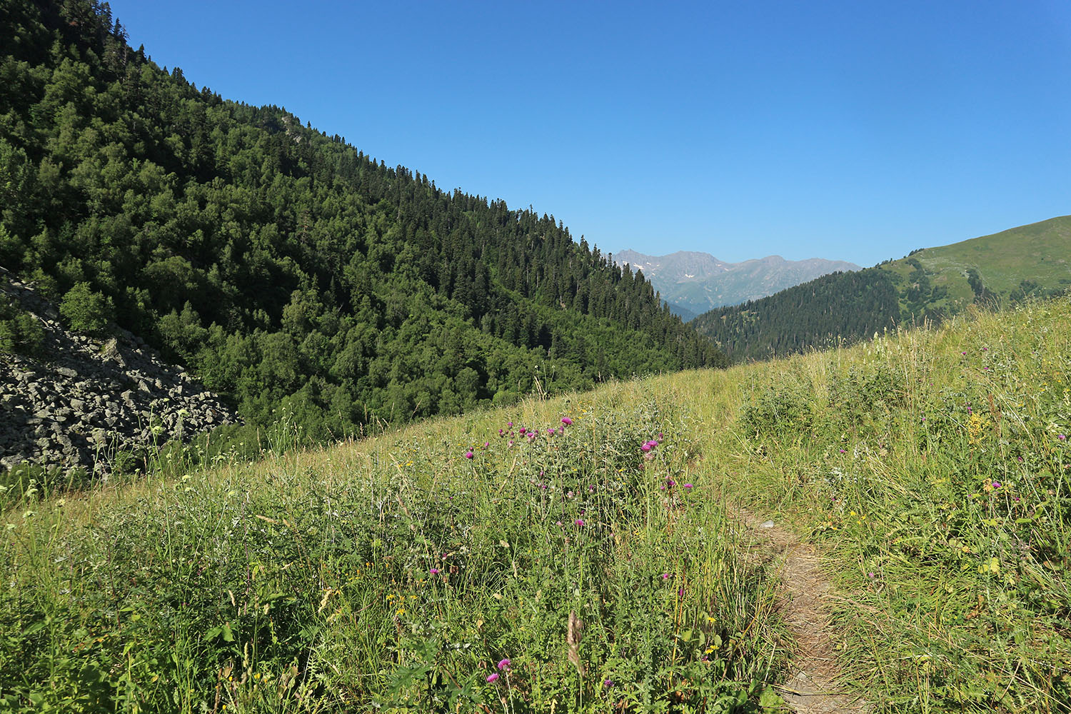 Долина реки Загедан, image of landscape/habitat.