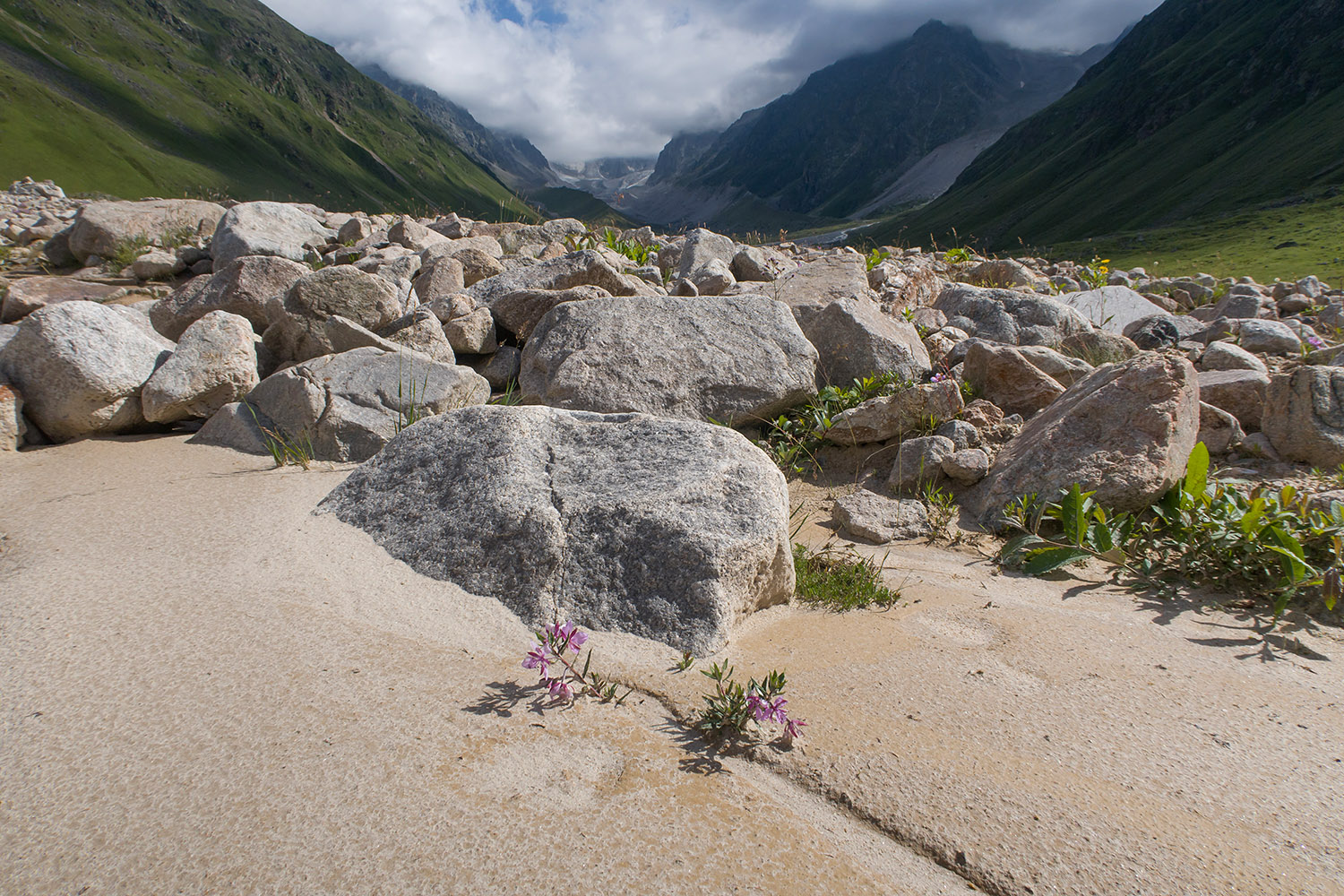 Ледник Псыгансу, image of landscape/habitat.