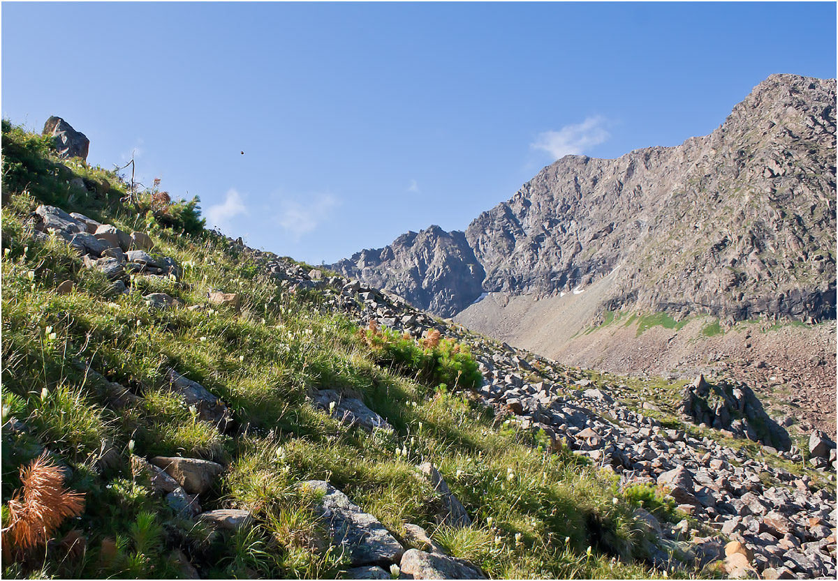 Борус, image of landscape/habitat.