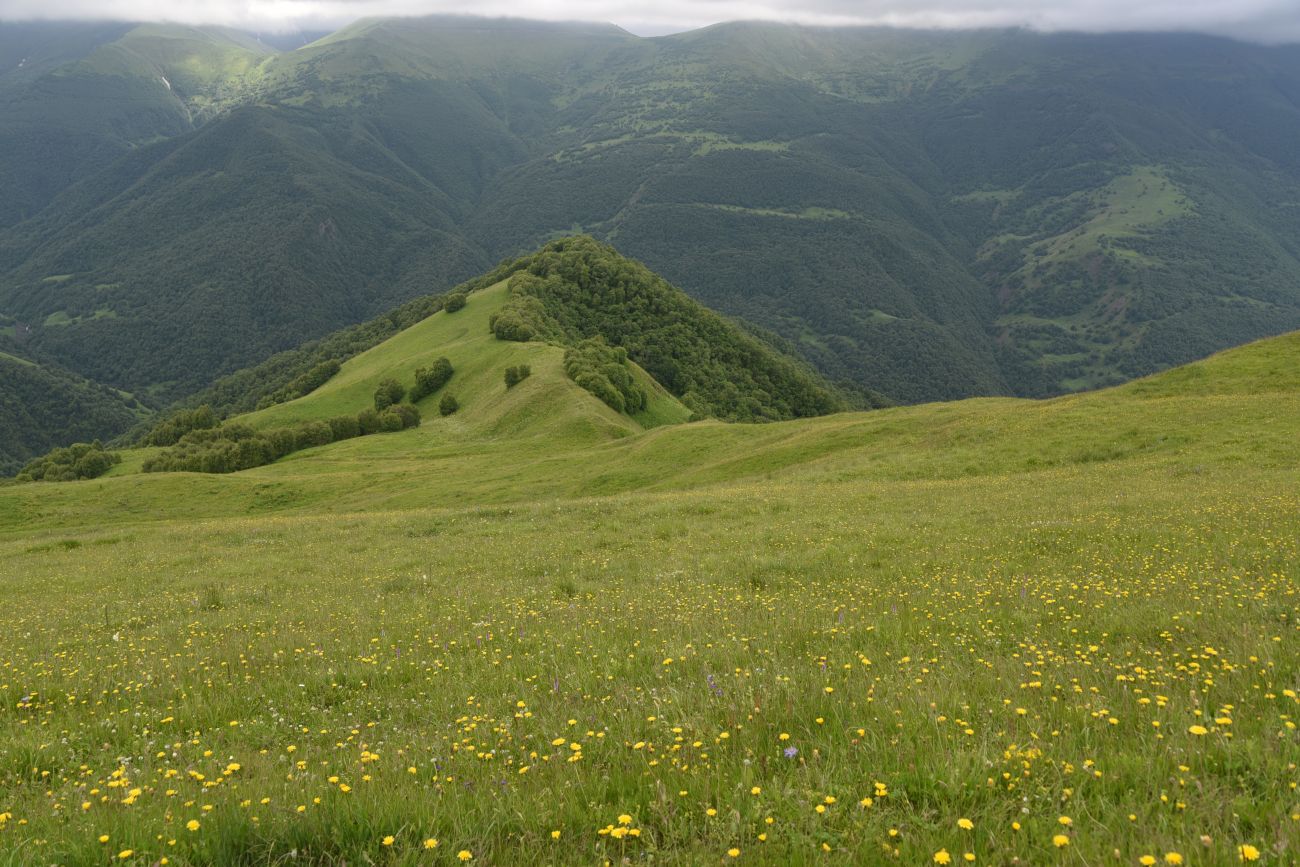 Верховья Хашелдойахк, image of landscape/habitat.