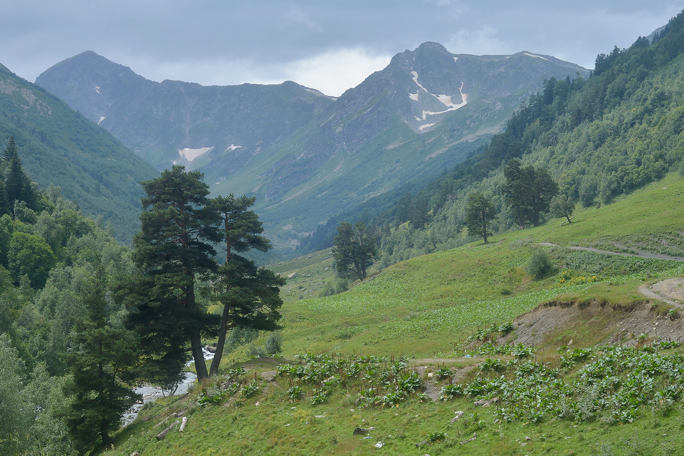 Долина реки Большая Дукка, image of landscape/habitat.