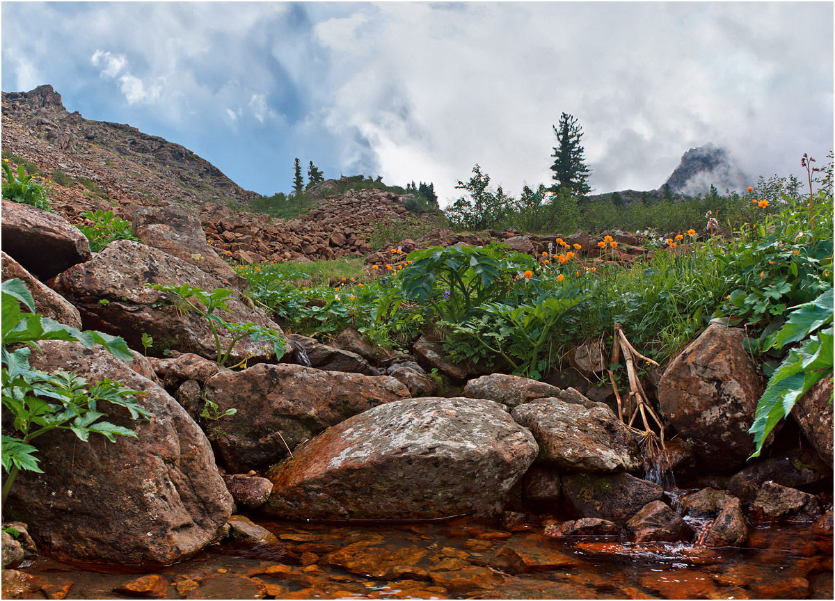 Борус, image of landscape/habitat.