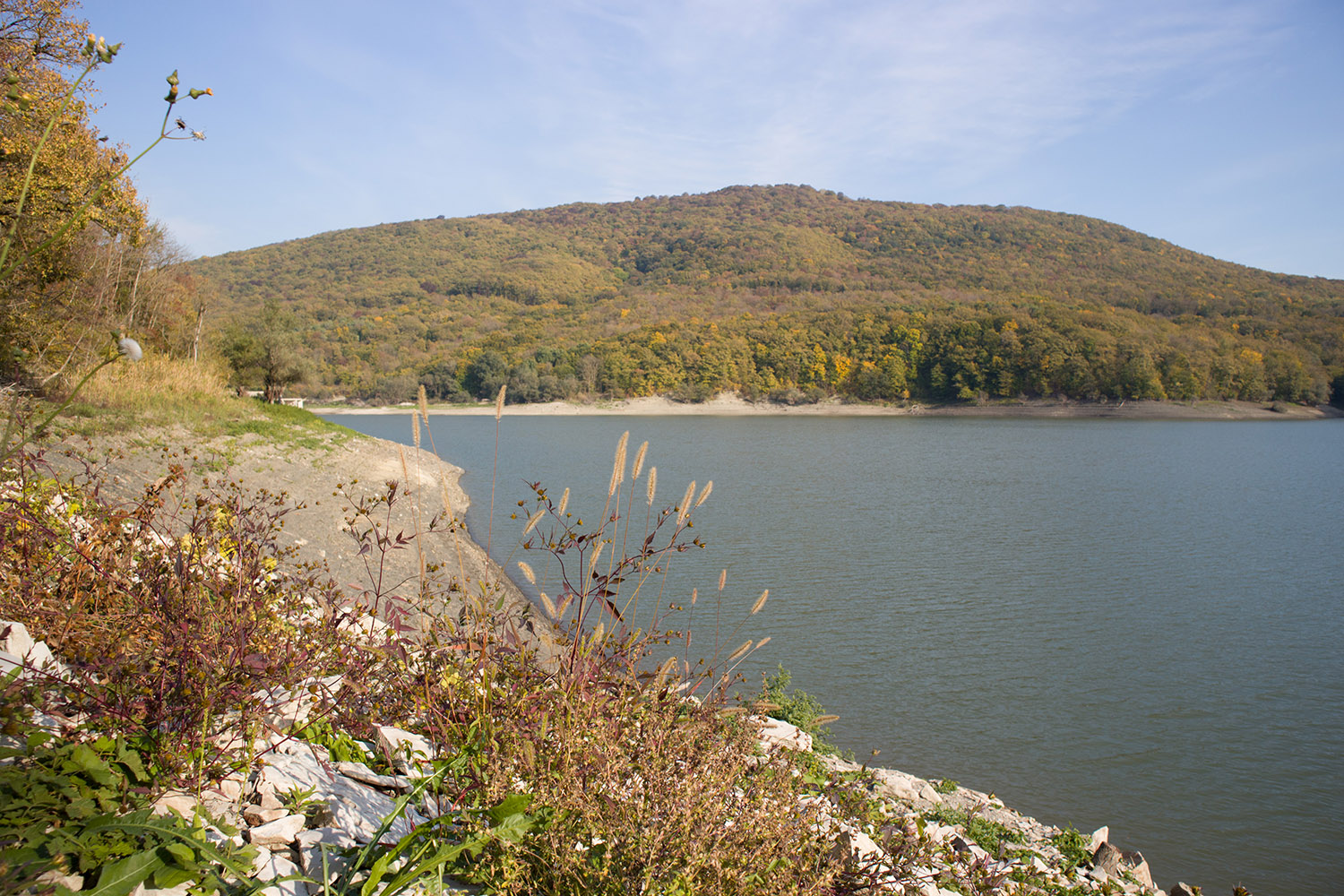 Неберджаевское водохранилище, image of landscape/habitat.