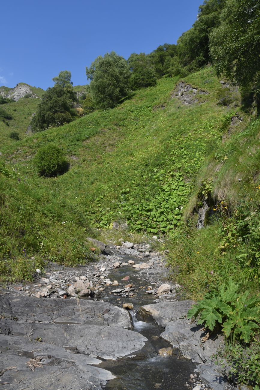 Выше водопада Цеси, image of landscape/habitat.