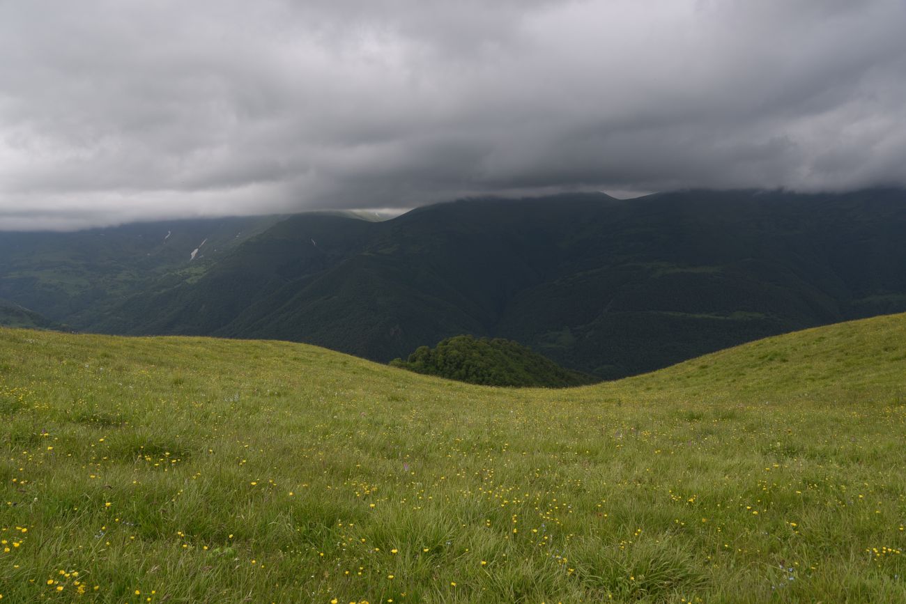 Верховья Хашелдойахк, image of landscape/habitat.