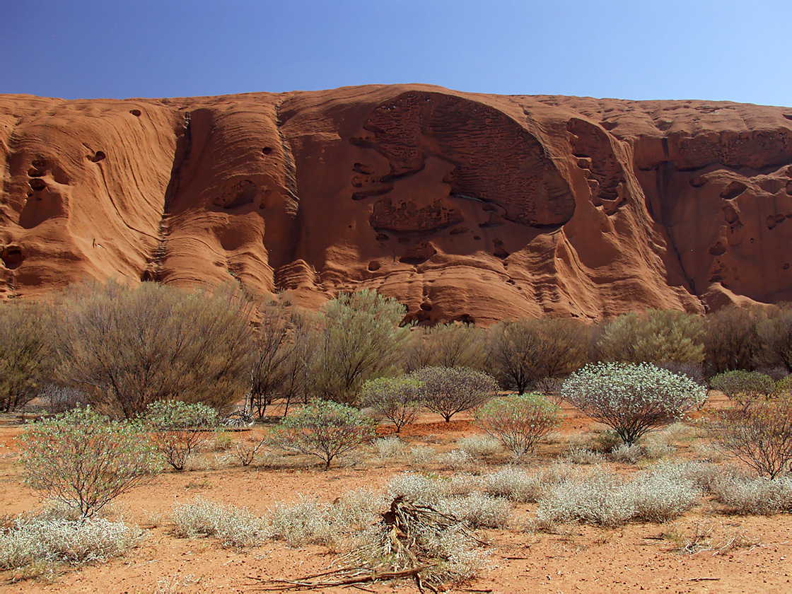 Uluru - Kata Tjuta, image of landscape/habitat.