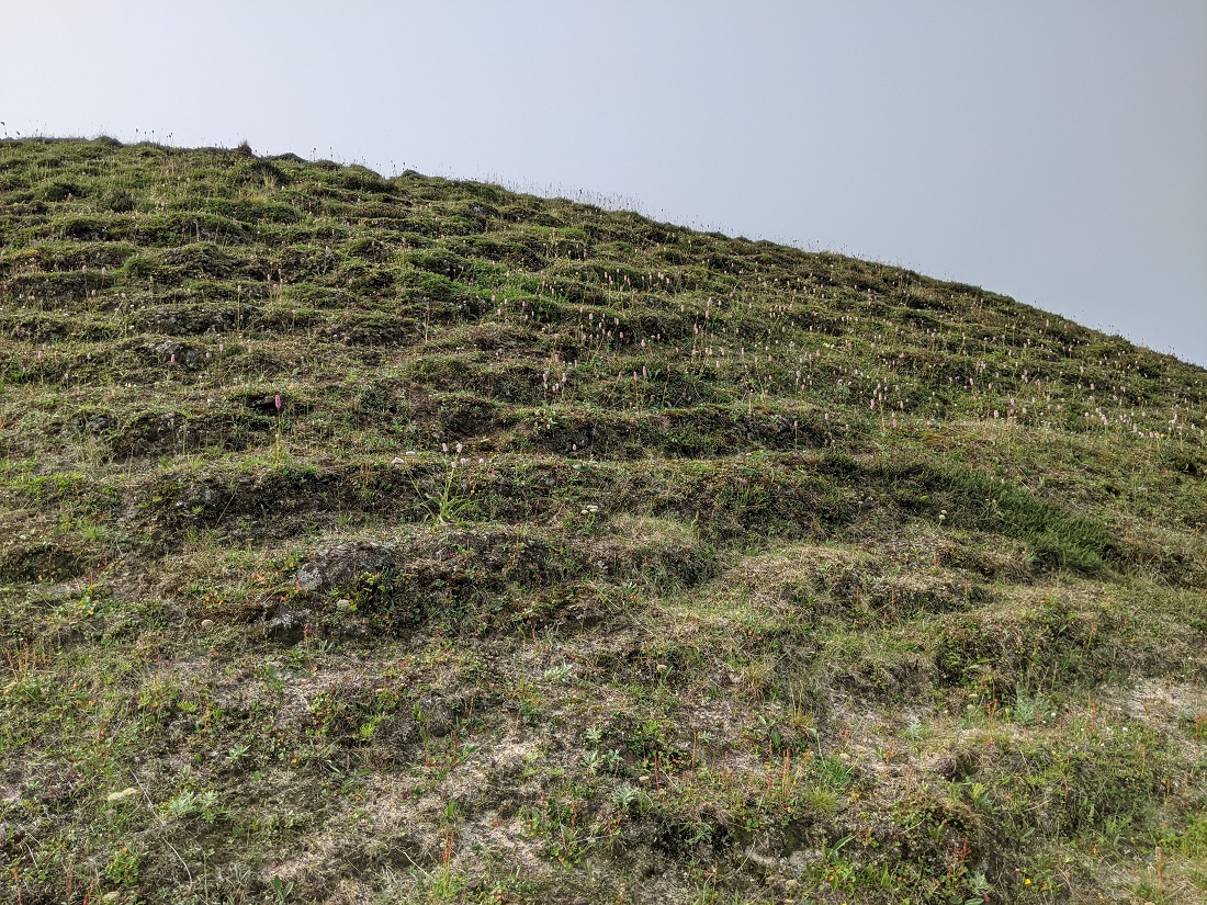 Гыданский полуостров, image of landscape/habitat.