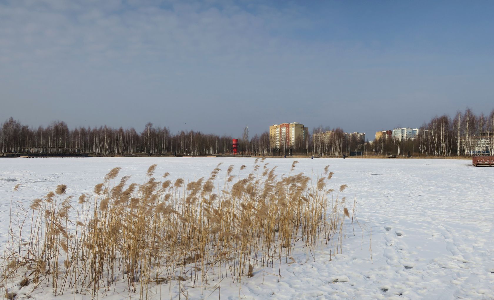 Стахановское озеро, image of landscape/habitat.