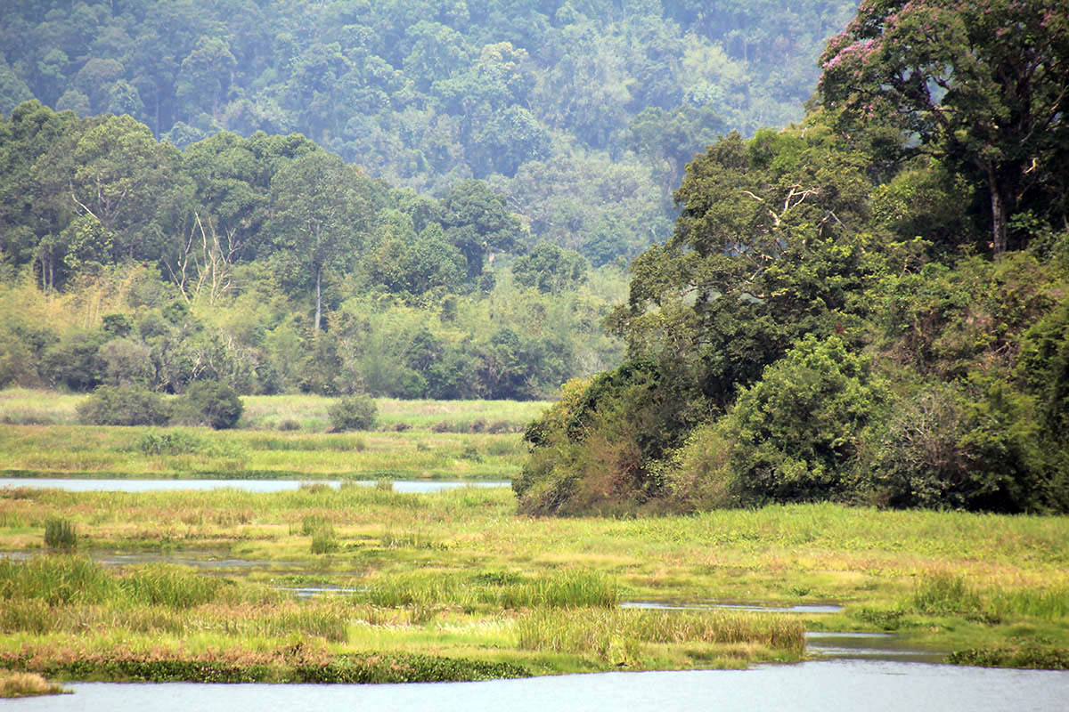 Кат Тьен, image of landscape/habitat.