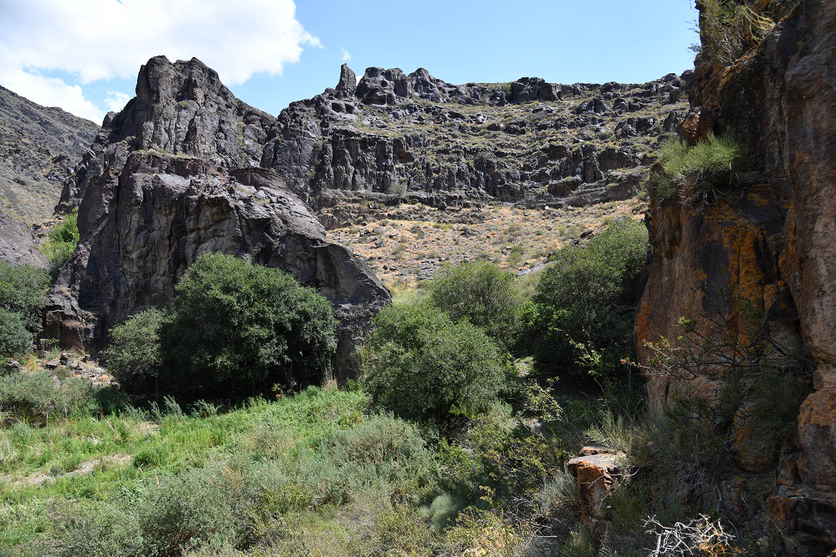 Алтын-Эмель, image of landscape/habitat.