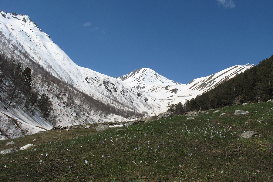 Xодюк, image of landscape/habitat.