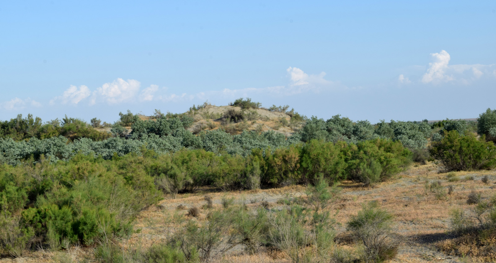 Пески Язъяван, Язъяванский район, image of landscape/habitat.