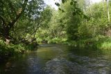 Окрестности деревни Семичёво, image of landscape/habitat.