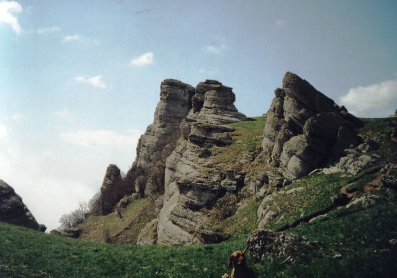 Южная Демерджи, image of landscape/habitat.