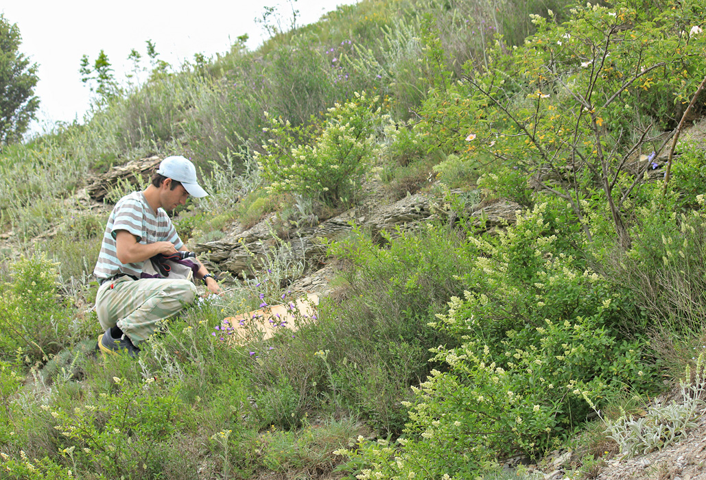 Среднее течение р. Озерейка, image of landscape/habitat.