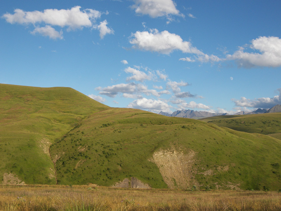 Плато Бечасын, image of landscape/habitat.