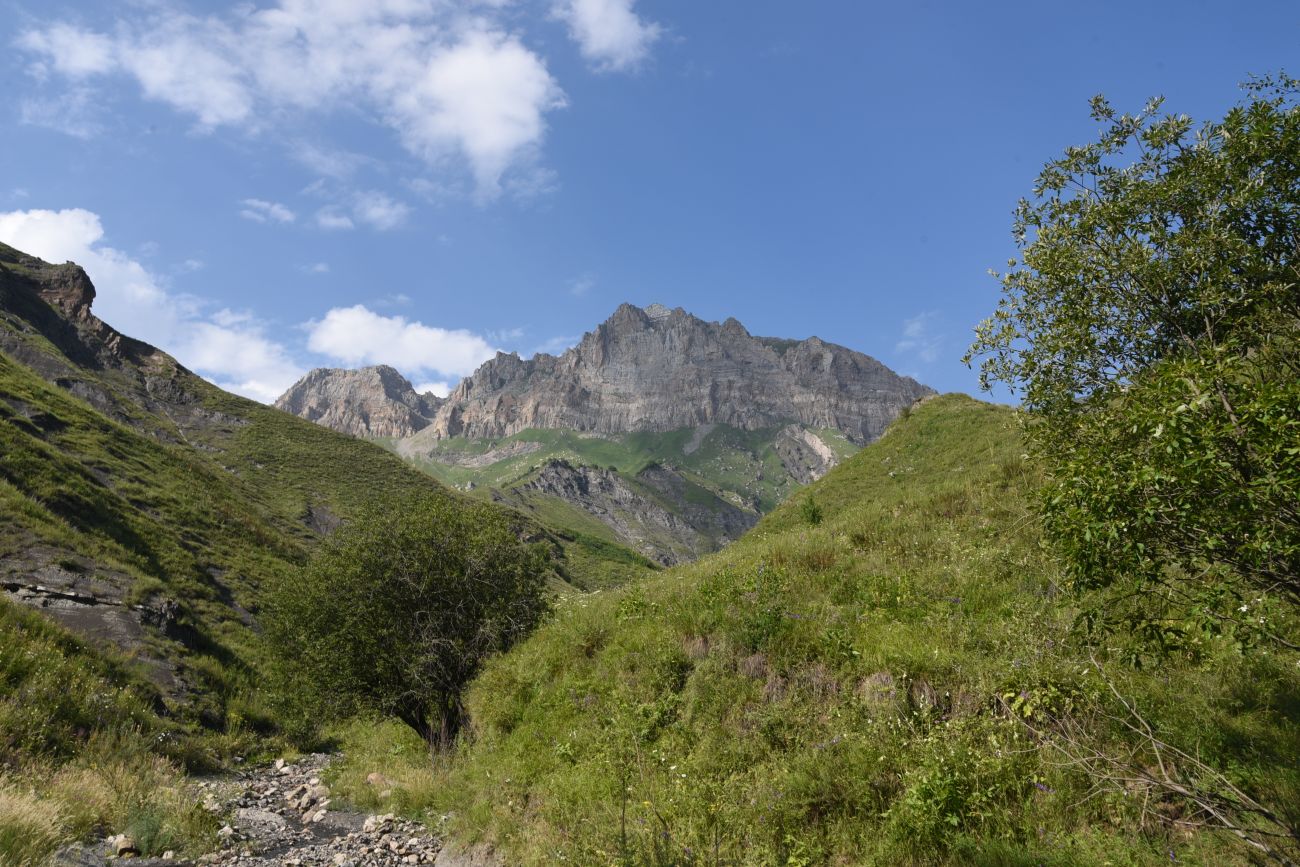 Гора Дайхох, изображение ландшафта.