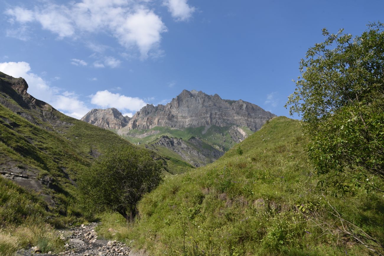 Гора Дайхох, image of landscape/habitat.