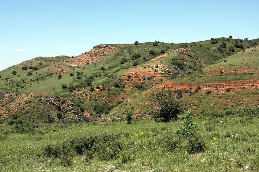 Ущелье Кызылбулак, image of landscape/habitat.