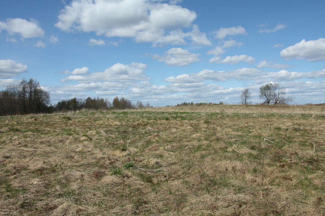 Езерище и окрестности, image of landscape/habitat.