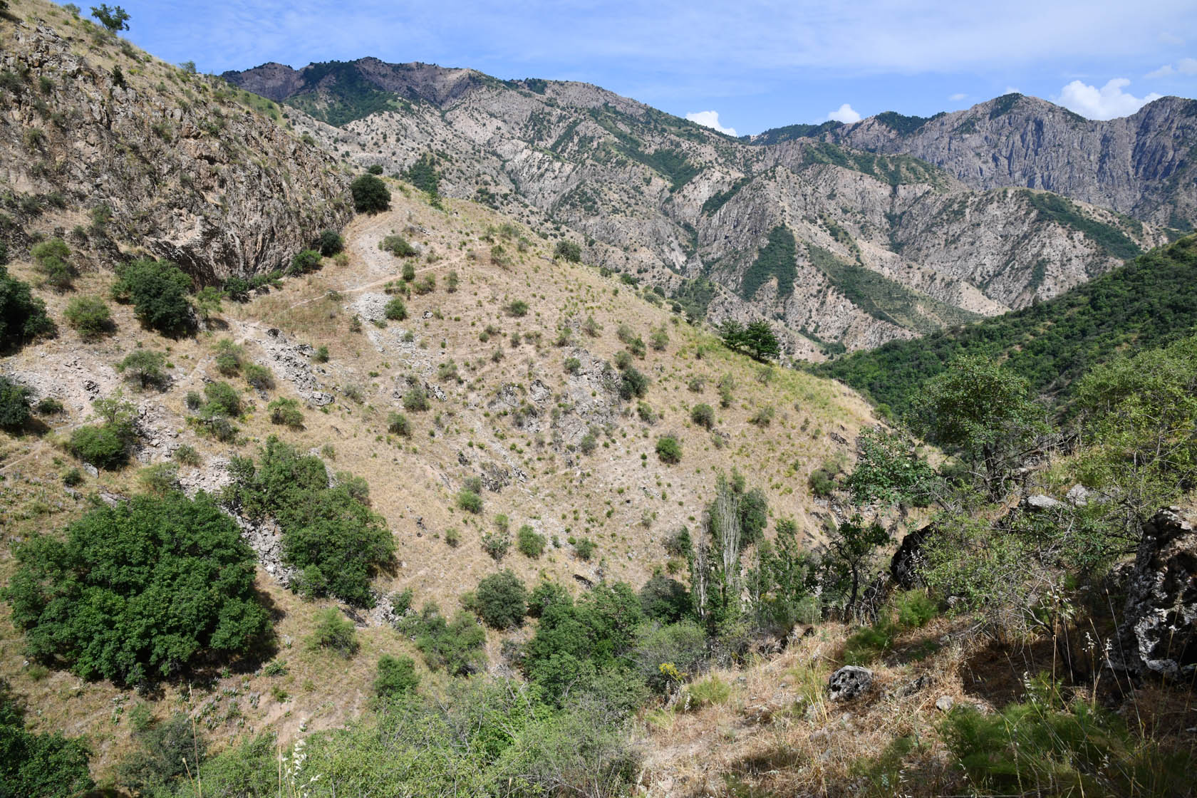 Кондара, image of landscape/habitat.