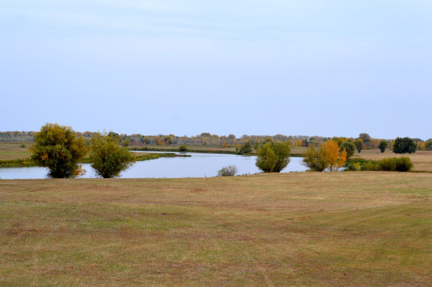 Харабали, image of landscape/habitat.