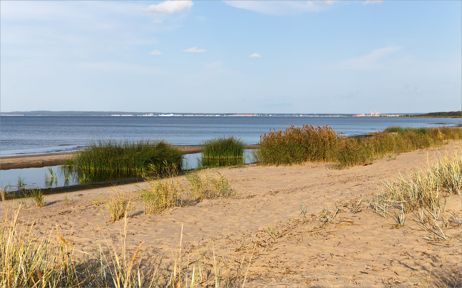 Окрестности деревни Выбье, image of landscape/habitat.