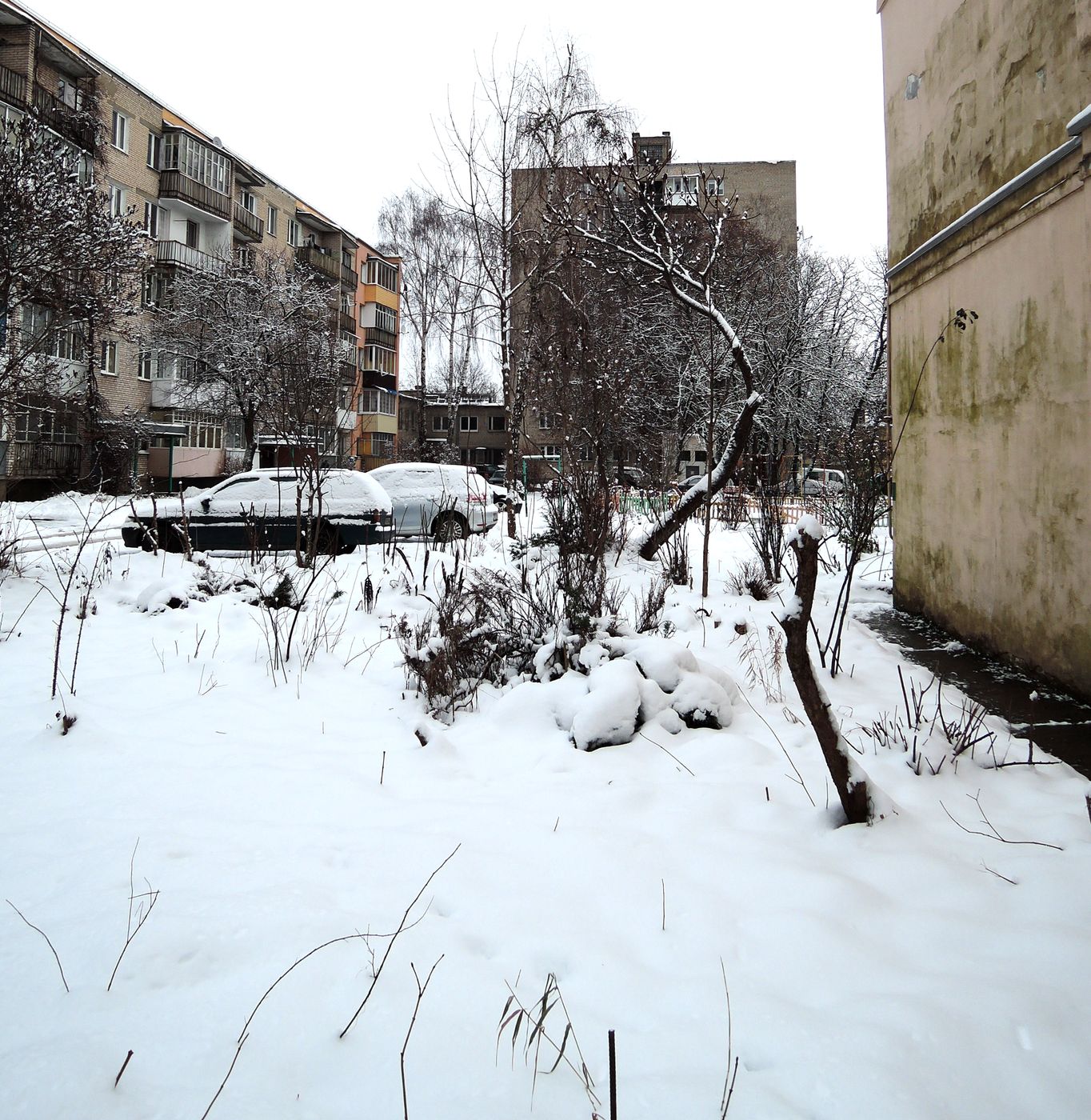 Гродно, image of landscape/habitat.