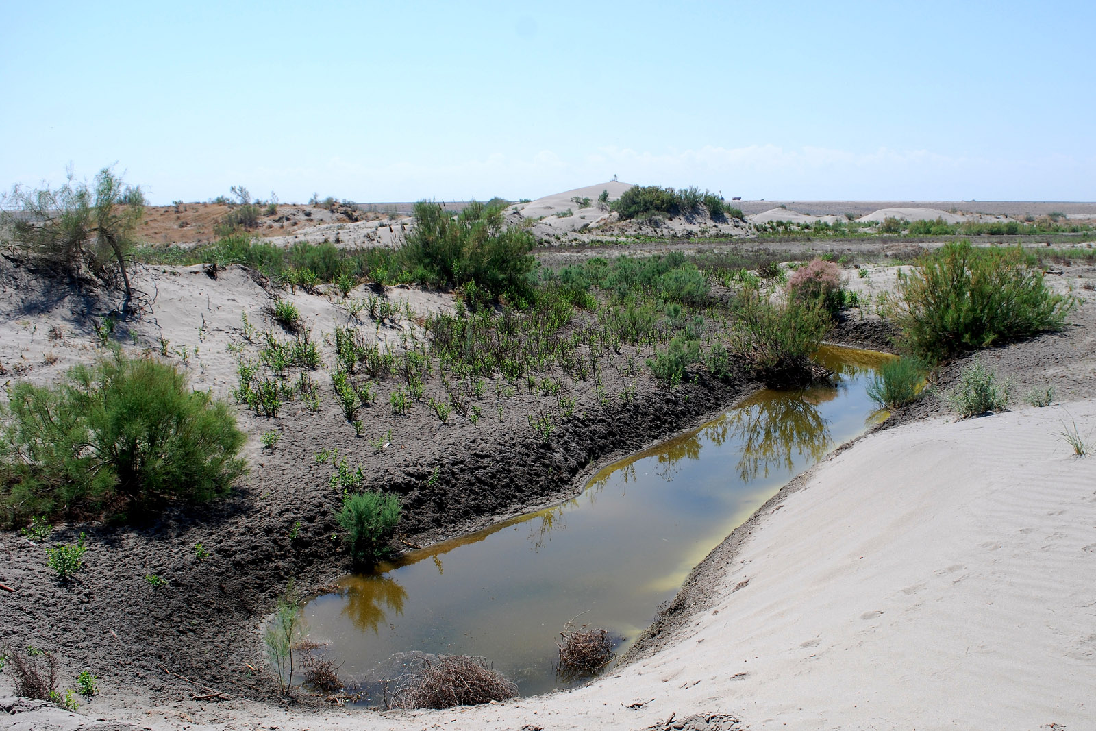 Пески Язъяван, Язъяванский район, image of landscape/habitat.