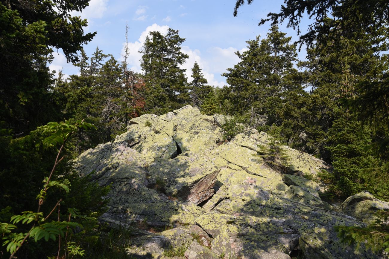 Майские Поляны и окрестности, image of landscape/habitat.