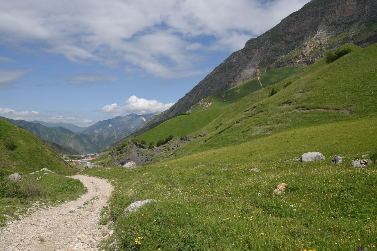 Урочище Хилиди, image of landscape/habitat.