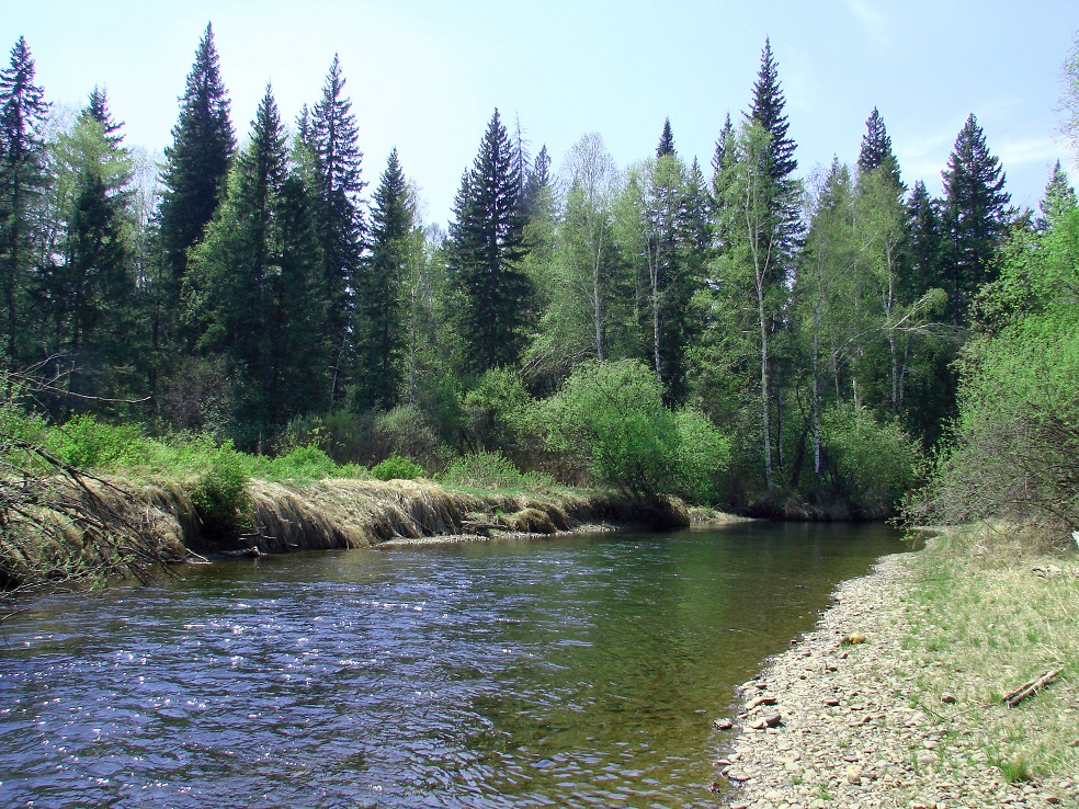 Поливаниха, image of landscape/habitat.