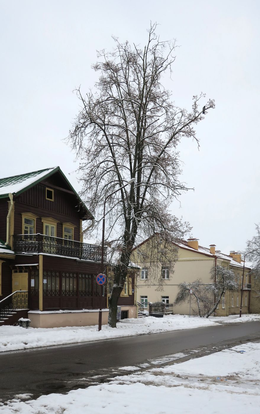 Гродно, image of landscape/habitat.