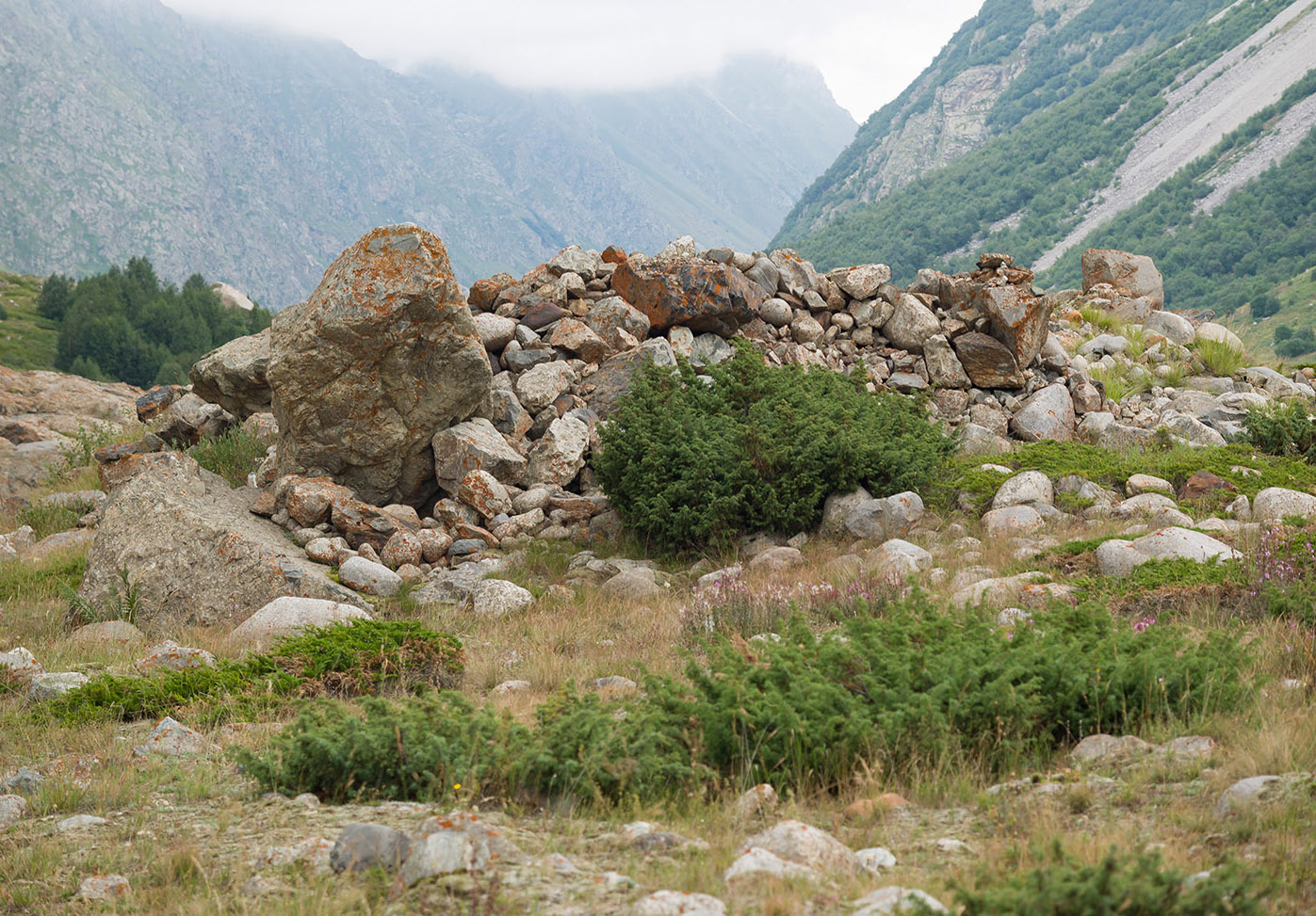 Черек-Безенгийское ущелье, image of landscape/habitat.