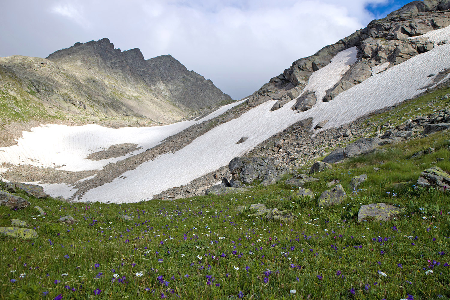 Озеро Буша, image of landscape/habitat.