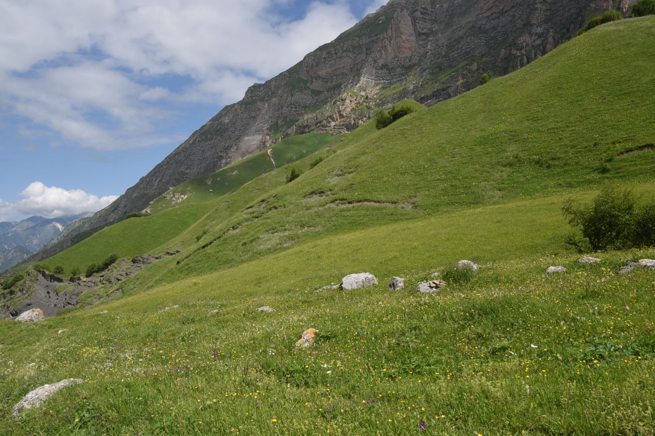 Урочище Хилиди, image of landscape/habitat.