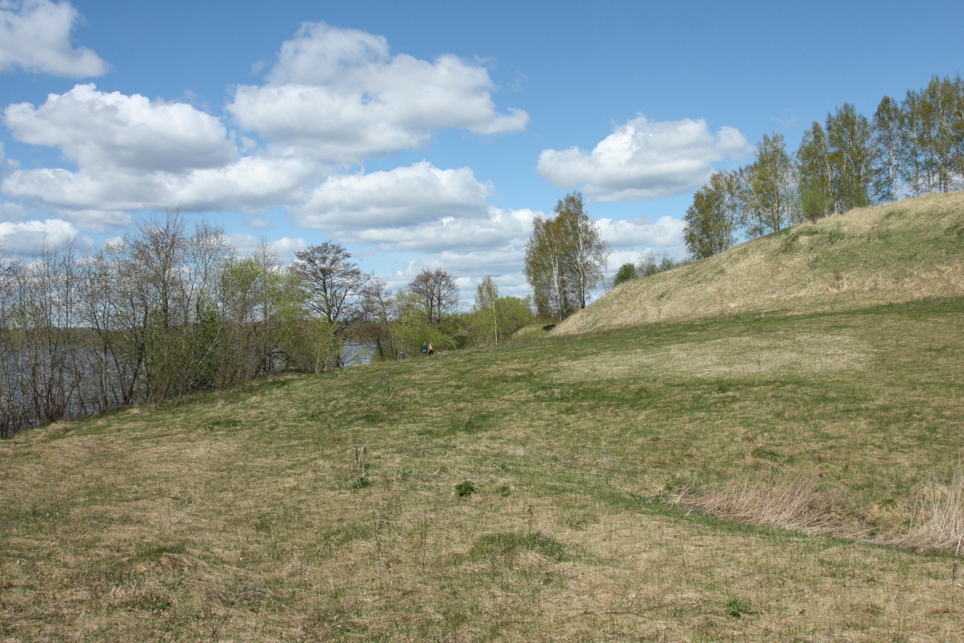 Шеляково и окрестности, image of landscape/habitat.