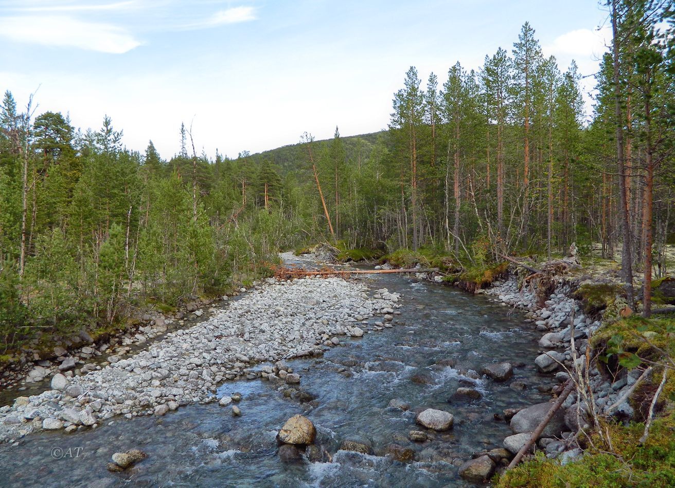 Ручей Лявойок, image of landscape/habitat.