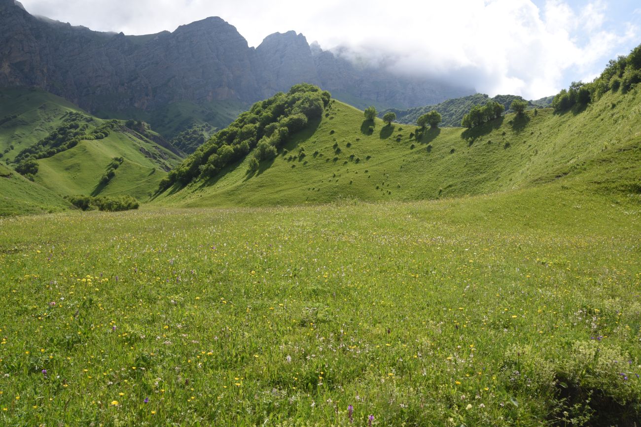 Урочище Хилиди, image of landscape/habitat.