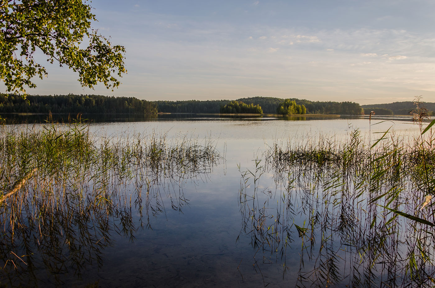 Синовино, image of landscape/habitat.