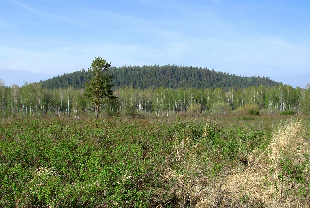 Поливаниха, image of landscape/habitat.